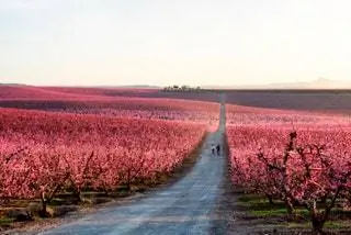 Что вы сейчас увидите в Айтоне