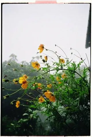 натуральный и современный