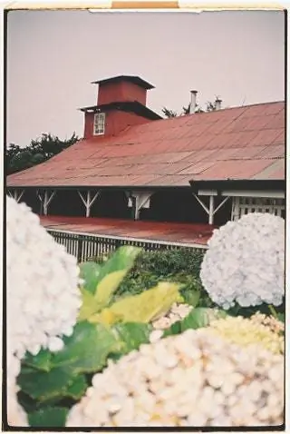 архитектура и пейзажи