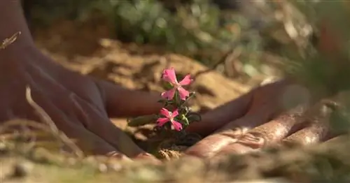 Пляж Пелосилья в дюнах Парадор-Эль-Салер