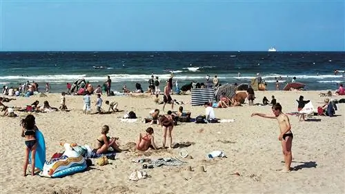 Томоко Йонеда: фотограф невидимой боли