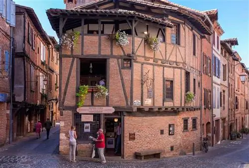 Casona du Vieil Alby Albi Tarn Франция