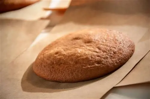 Мостачон или название Утреры во всем мире