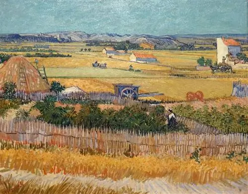 Урожай