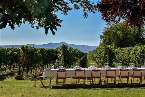 Стол с видом на виноградники в Finca La Emperatriz La Rioja.