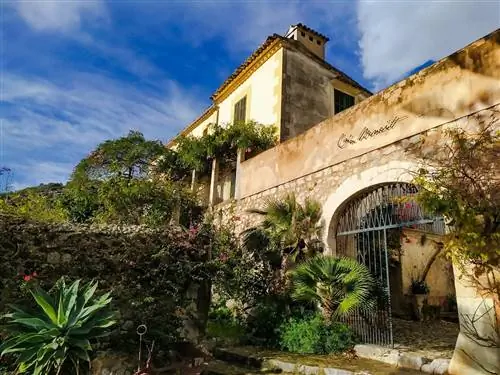 Агротуризм может принести пользу Майорке