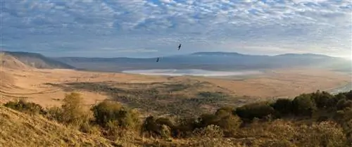 Кратер Нгоронгоро, где зародилась жизнь