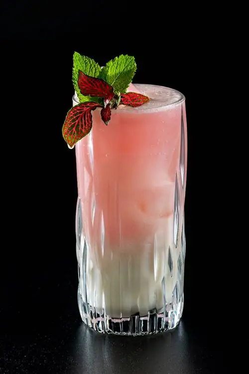 Коктейль Вива Мадрид