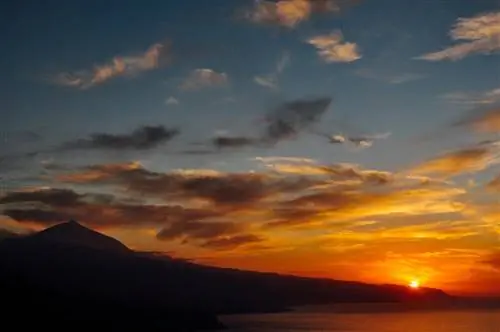 жизнь без зим