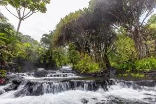 Отдых в водах Ареналя