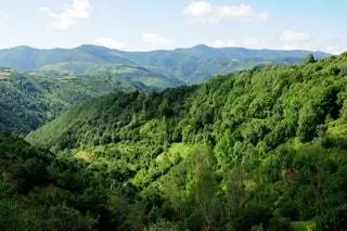 Любовь в Курель-Луго