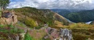 Красота виноградников Доаде Луго