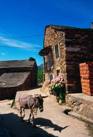 7. Вальверде де лос Арройос