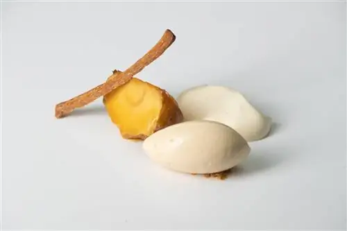 Яблочный пирог от La Postrería запеченное яблоко, ванильная пена, мороженое с соленой карамелью и карамелизированное слоеное тесто.