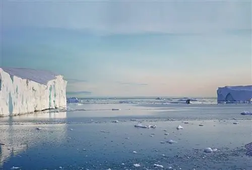 Айсберги, плавающие в ледяном фьорде Илулиссат, одном из самых…