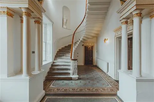 березы