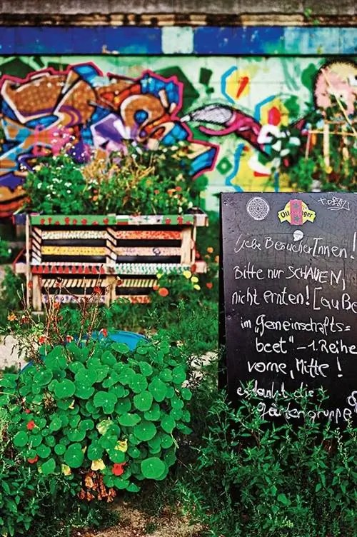 Городской сад на берегу Дунайского канала