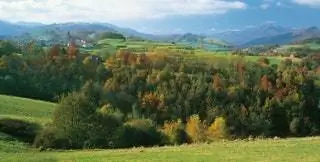 Леса Базтского района