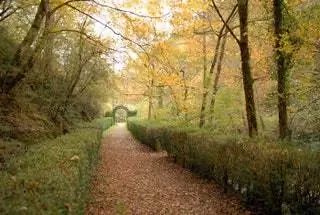 Лес Сан-Хуан-Хар