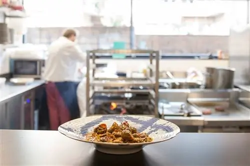 Альбертинские улитки