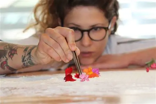 Ракель Черничаро грядущий ураган