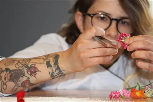 Ракель Черничаро грядущий ураган