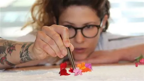 Эти женщины - великие надежды гастрономии в Испании