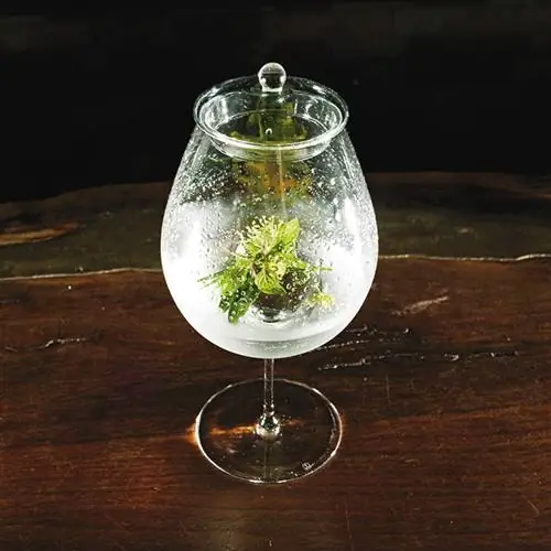 Kayama Special в баре BenFiddich.