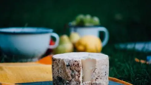 Астурия, сырный рай