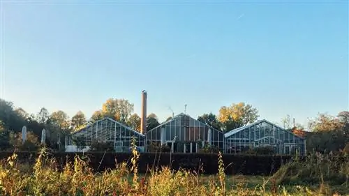 Органические рестораны в Амстердаме