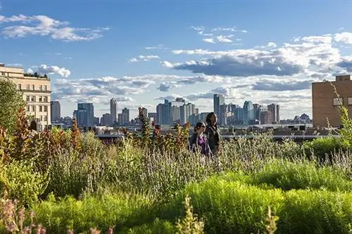 Как насчет прогулки в парке High Line Elevated?