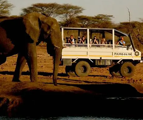 Первый в Африке постоянный оператор фотосафари