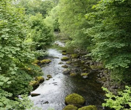 Озерный район