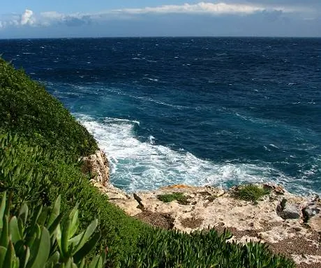 Два октябрьских гастрономических мероприятия на Майорке