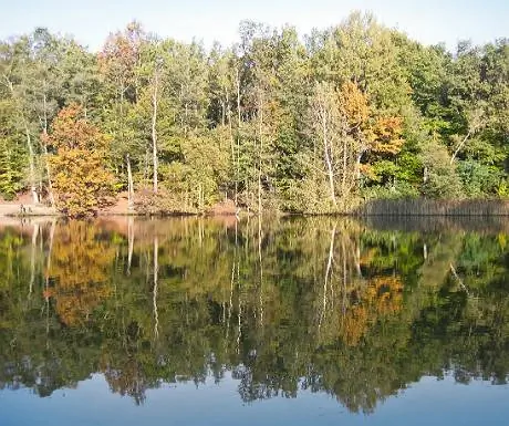 Осень в Берлине