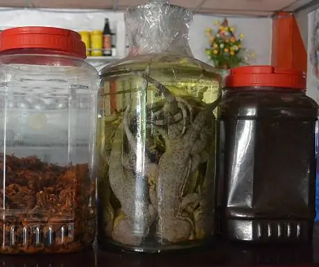 Ящерица ликер