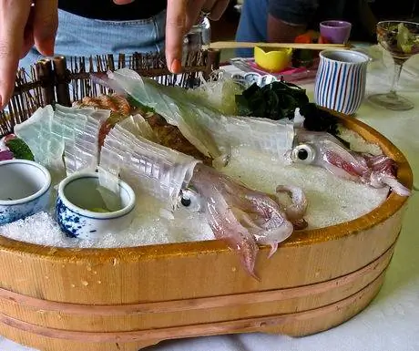 Живой кальмар
