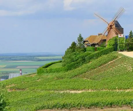 шампанское