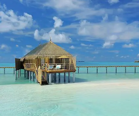 Констанс Муфуши