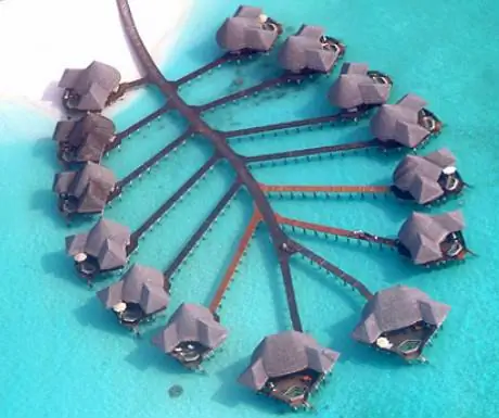 Коко Пальма