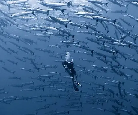 ЦИФРОВАЯ КАМЕРА OLYMPUS