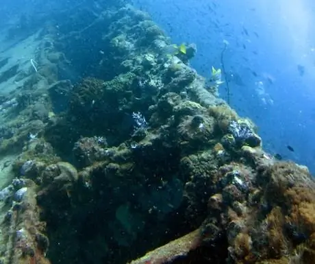 5 - СС Йонгола