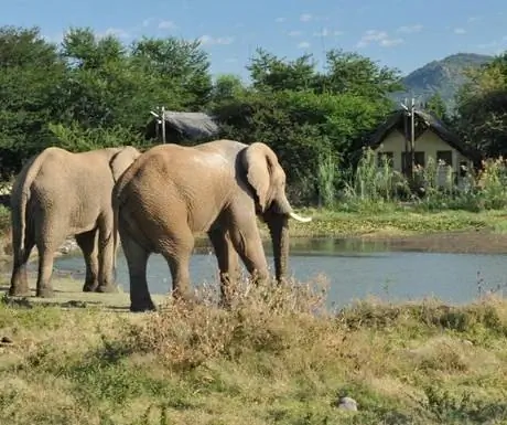Водопой Tau Game Lodge Водопой Tau Game Lodge