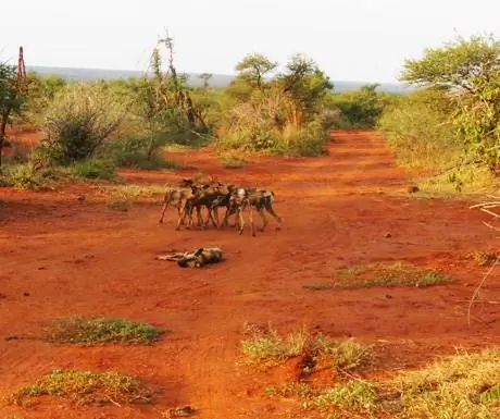 5 главных причин посетить Мадикве
