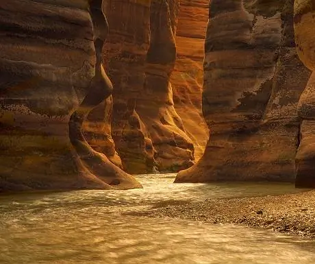 Вади Муджиб