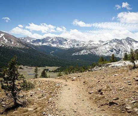 Природный заповедник Дана