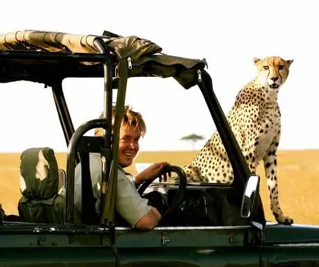 Гепард в лагере Ричардс