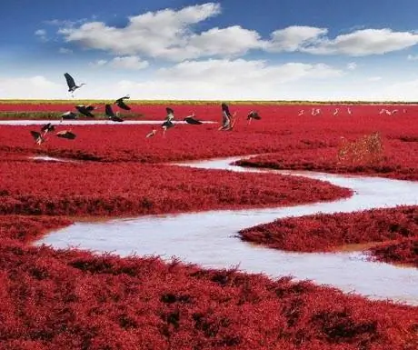 6 эпических природных чудес света