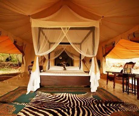 Роскошный сафари-лагерь