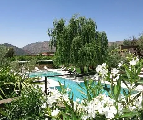 Сады и бассейн Domaine de Malika